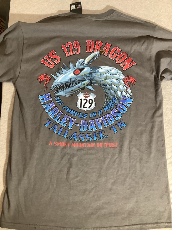 Harley-Davidson Other - Harley-Davidson Gray Tee with Red & Blue Dragon Graphic